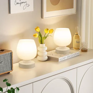 Two frosted glass lamps