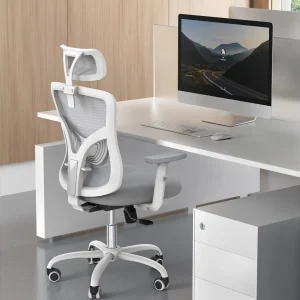 Ergonomic Office Chair